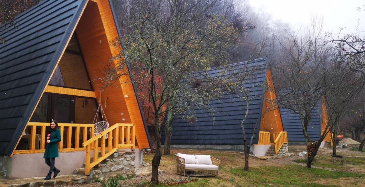 Casa - Cabana Tip A Frame, Cerna, Vaideeni, Valcea Cerna  Eksteriør bilde